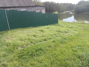 Вину искупил… свежим газоном.